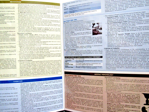 Psychologists; Quick Study: - pamphlet, BarCharts, 142321509, new - Imagen 2 de 2
