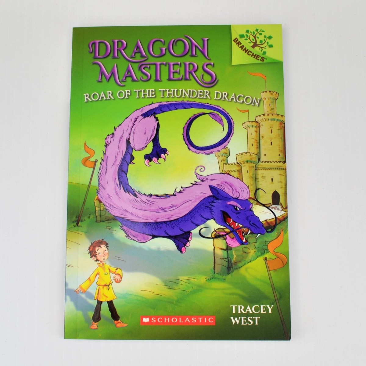 Dragon Masters27冊 Dragon Masters by Tracey West Books 4, 8, 13 & Last Firehawk