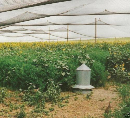 Netting Poultry Anti Bird Aviary Fruit Garden Protection Nets Long Lasting! - Photo 10 sur 19