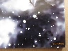 Bild 8 von 8