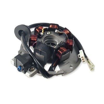 Lichtmaschine Import für Mawi Racing Power 50 Moto bi Pesaro SS