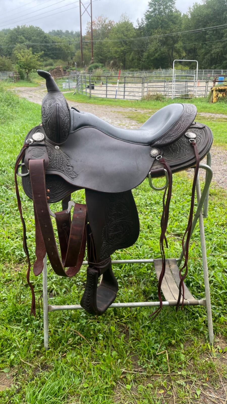 High Horse (Circle Y) Mesquite Trail Round Skirt Wide Tree 6864160105 eBay