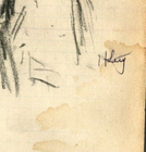 Foto 7 di 8
