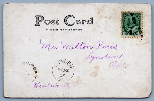 AK Ostern 1914 Mädchen füttert Hasen Hasen - Bild 2 von 2