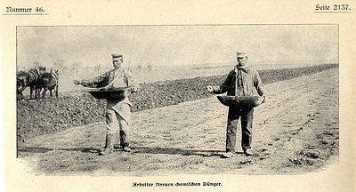 Arbeiter streuen chemischen Dnger in der Landwirtschaft Feldarbeit von1902  | eBay.de