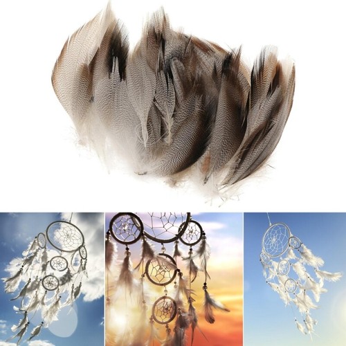 50Pcs Mallard Duck Wing 1.6-4.7In for Art Craft Fly Tying Wedding Decoration - Picture 2 of 8
