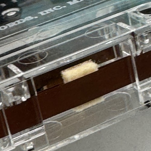 The Mock Turtles – Turtle Soup  Cassette Alt. Rock 1991 Relativity Advance PROMO - Picture 6 of 6