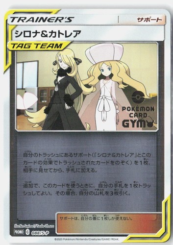 Cynthia & Caitlin NM 2020 088/S-P Promo Sword & Shield Promos Japanese Holo