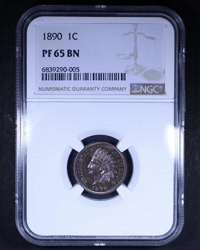 1890 Indian Head Cent - 1c NGC PR65 BN - Lovely Purple Toning