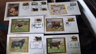 Lot of 6 BENHAM 1984 FDC 1 lg silk BLS2 5 sml BS2a-e British Cattle Chillingham