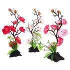 3 Pcs Japanische Dekorative Ornamente Sashimi-Teller- Hotelzubehör