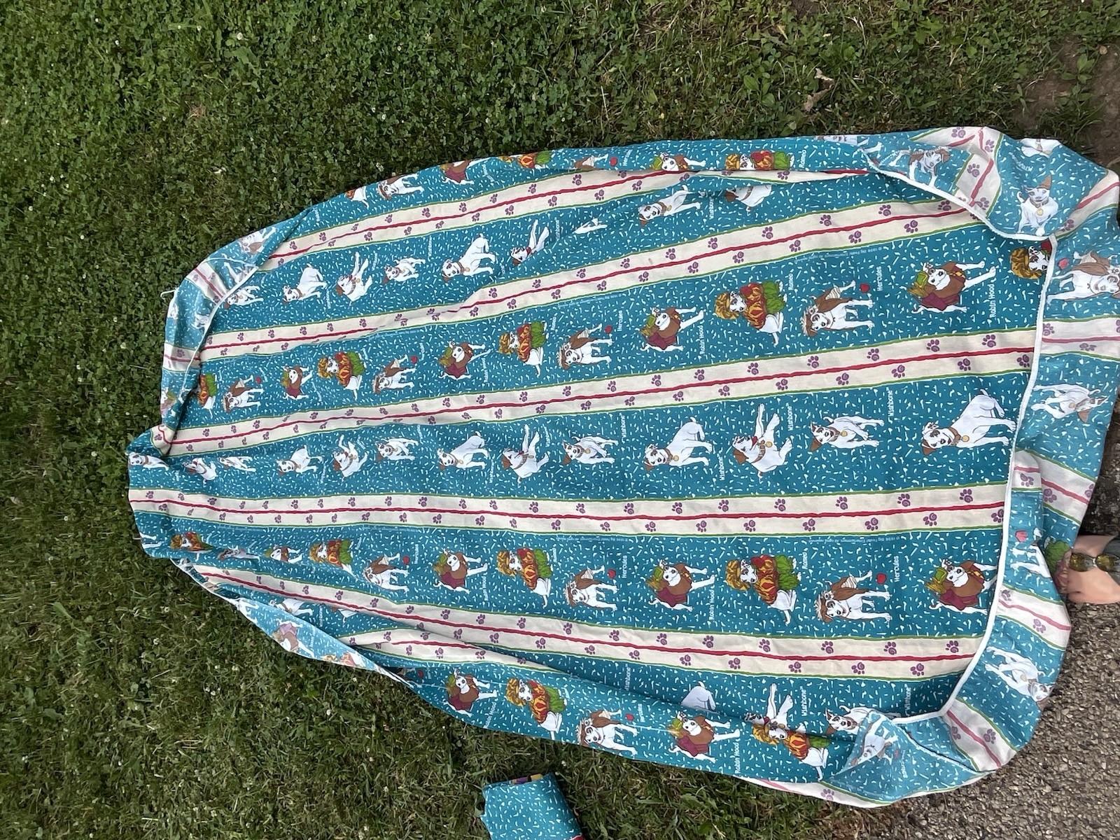 Picture 5 of 5