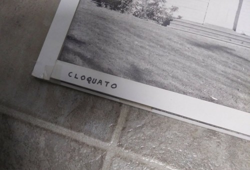 Paul Schaufler Photograph Print - Cloquato 207.2 14" x 11" 1986 - Picture 2 of 4