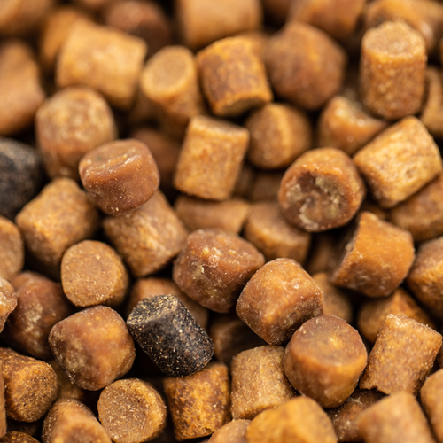 Fjuka 2in1 FatBoys - 10mm Hook Bait. The soft feed pellet & attractant - Picture 19 of 39
