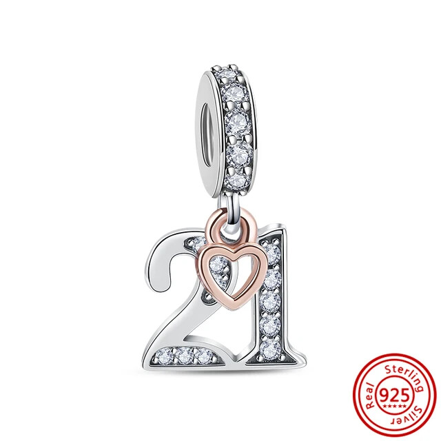 Genuine S925 Silver Charms