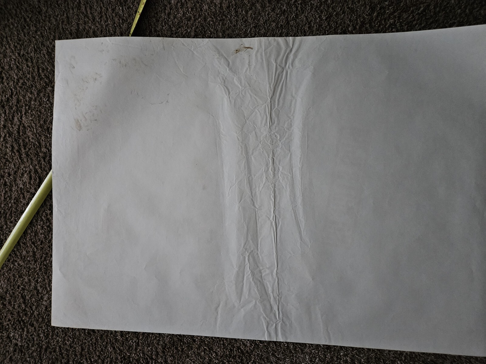 Picture 5 of 5