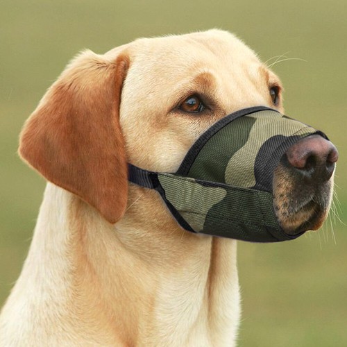 Maulkorb Hundemaulkorb verstellbar Beißkorb Nylon Maulschlaufe 7 Größen 5 Farben - Picture 10 of 17