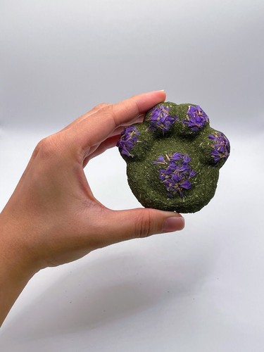 Estampado floral de pata Timothy Hay hierba conejo golosina. También es adecuado para hámsters, Gui - Imagen 3 de 6