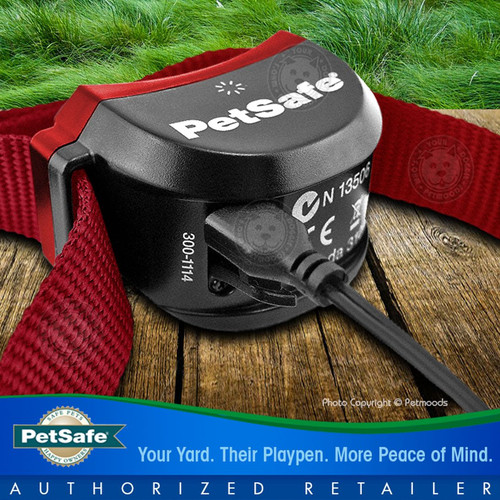 PetSafe Stubborn Stay and Play Rechargeable Wireless Blue Collar PIF00-13672 - Picture 3 of 9