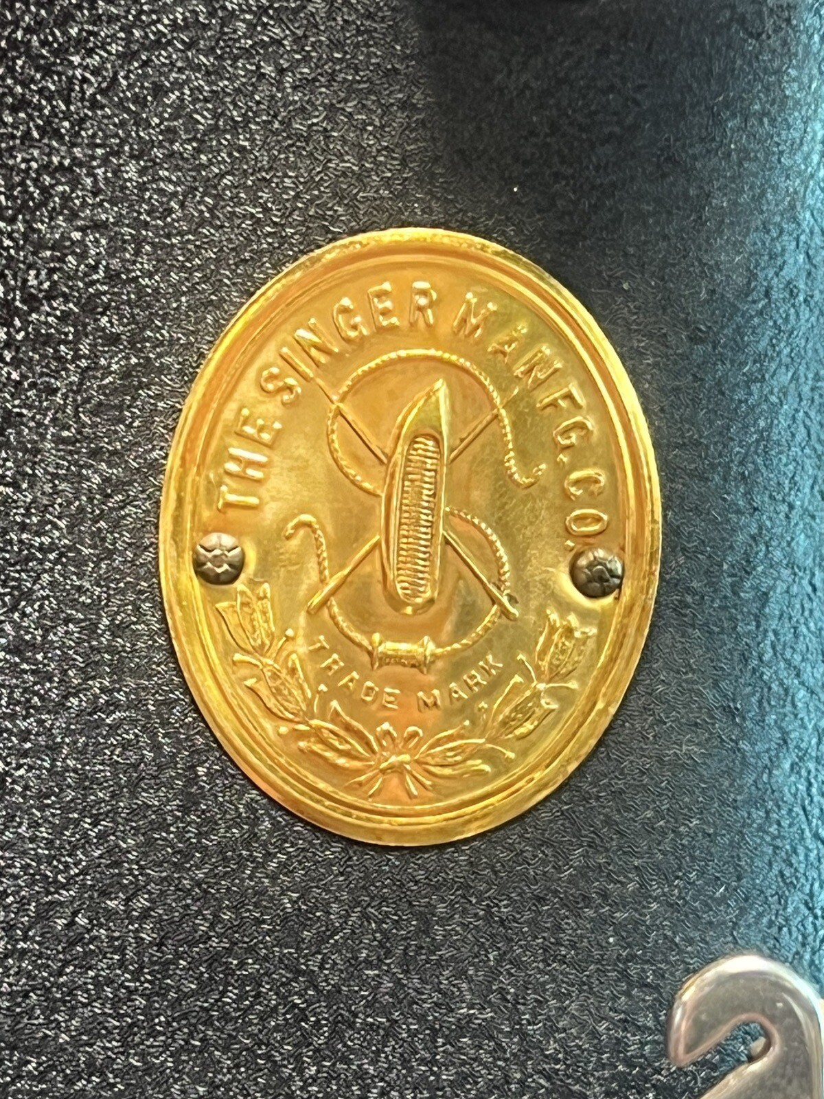 Picture 22 of 22