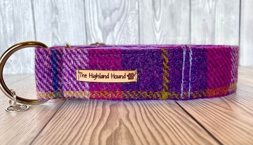 2" Peony Harris Tweed Fishtail Martingale Dog Collar Greyhound, Whippet, Lurcher - Picture 1 of 8