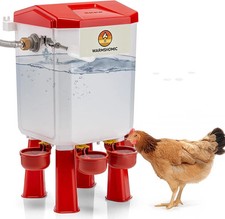 Automatic Chicken Waterer Large Chicken Waterer System Pou