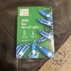 Home Accents Holiday 100 Blue Mini LED Christmas String Lights 28ft 10in Indoor