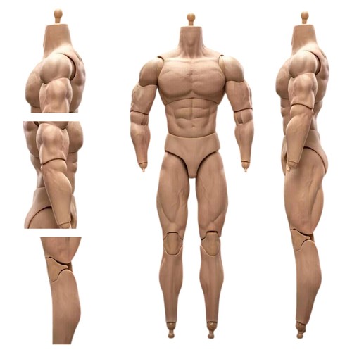 1/6 Scale BD003 Muscular Male Action Figure Body For 12" Hot Toy Soldier Head HM - Bild 1 von 17