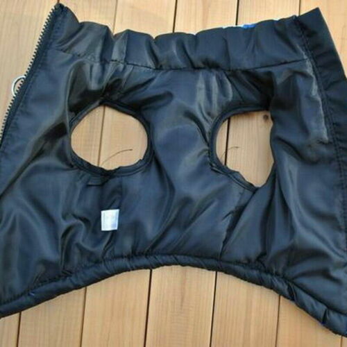 Giacca Cane Cappotto Piccoli Vestiti Animale Cucciolo Abbigliamento Caldo Costume Imbracatura Maglione S L - Foto 5 di 48