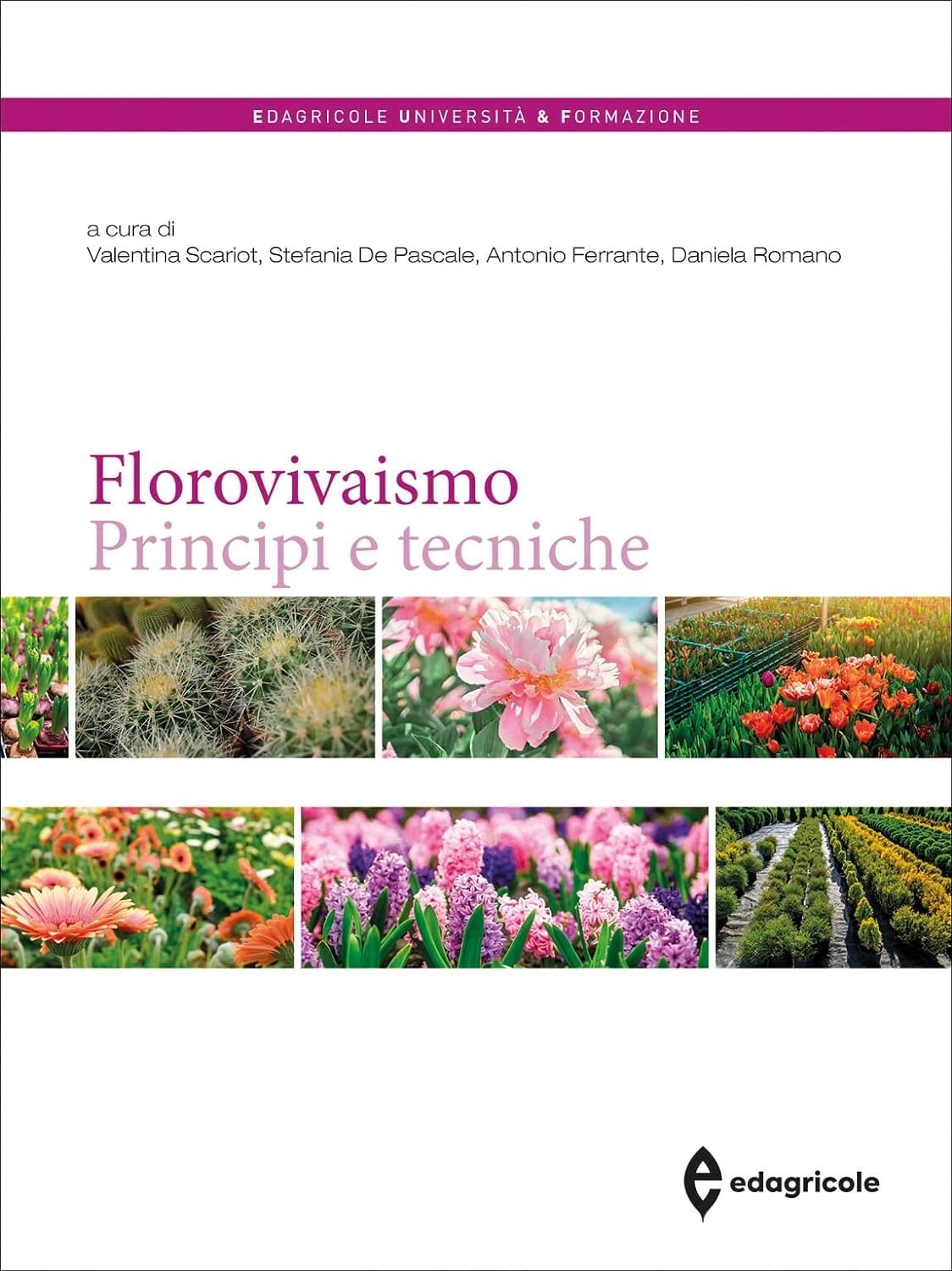 Foto 1 di 11