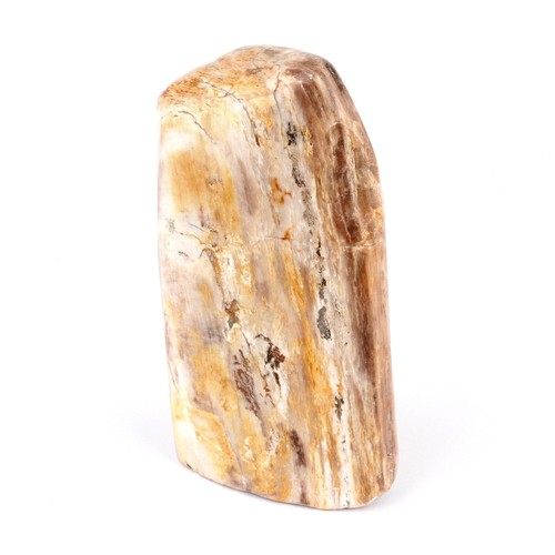 versteinertes Holz Ø 165 mm Freeform 970 g poliert - Indonesien AA-Qualität 63 - Bild 2 von 4