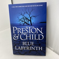Blue Labyrinth by Lincoln Child & Douglas Preston (2014, Hardcover)