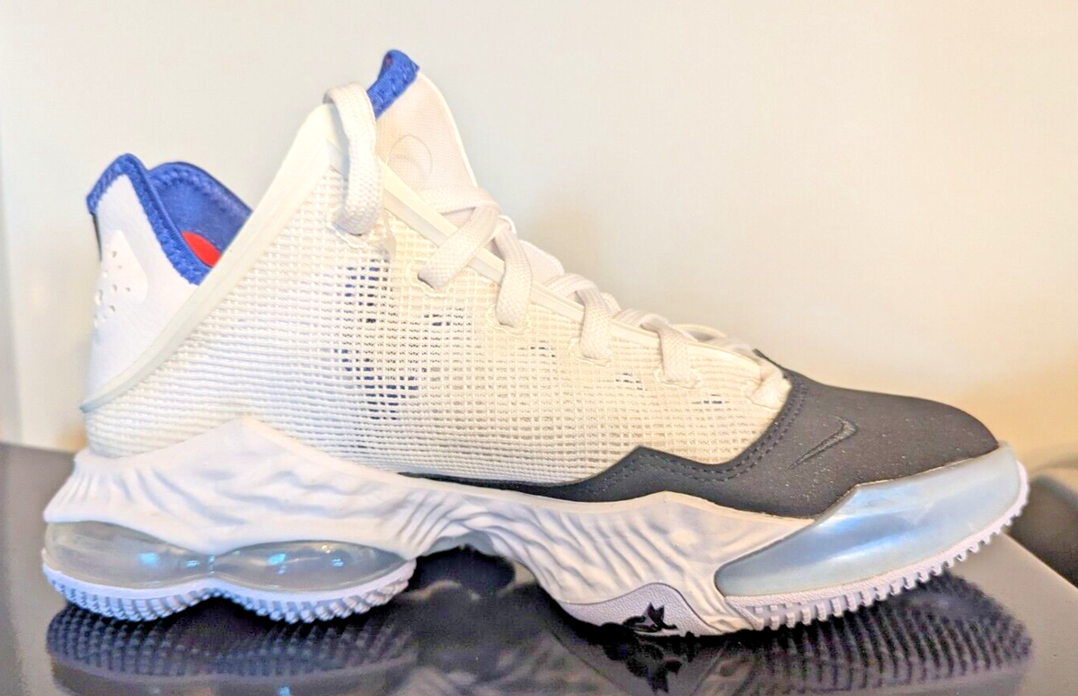 Nike Lebron 19 Low  display picture 1