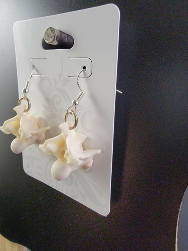 Rattlesnake bone earrings .925 SS sterling silver ear wire real vertebrae - Picture 9 of 12