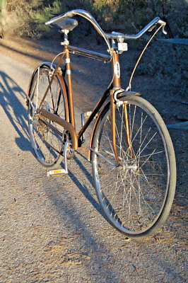 Schwinn Suburban 5spd 1973 vintage Chicago USA Chestnut