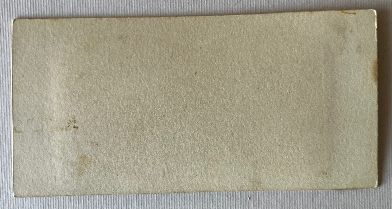 Picture 4 of 4