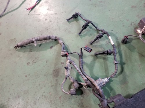 6.4 Powerstroke Turbo Diesel 6.4L International A350 Engine Harness - Picture 7 of 12