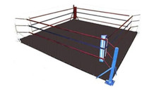 MMA Floor Ring Canvas Mat - For Wrestling,Box...