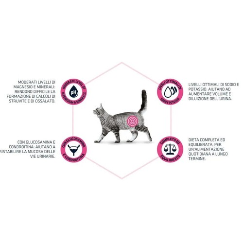 Kroketten Advance für Katzen Renal - Advance Veterinary Diets Urinary - Bild 5 von 9