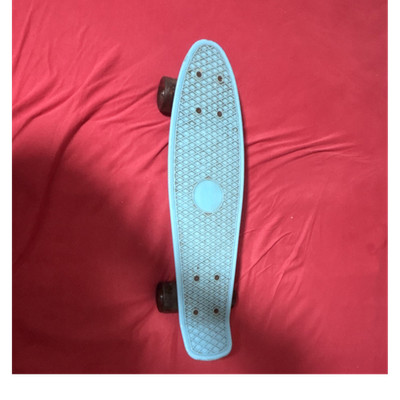 Penny Hellblau Pennyboard Miniboard Skateboard Komplettboard gebraucht