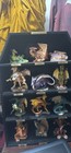 Entire Fabulous Dragon Set By John Woodward
