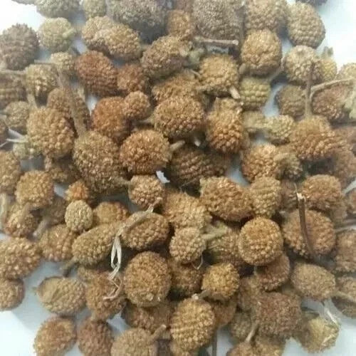 Natural Gorakhmundi Gorakh mundi Gorakmundi Sphaeranthus Hirtus Dried seeds - Picture 9 of 12