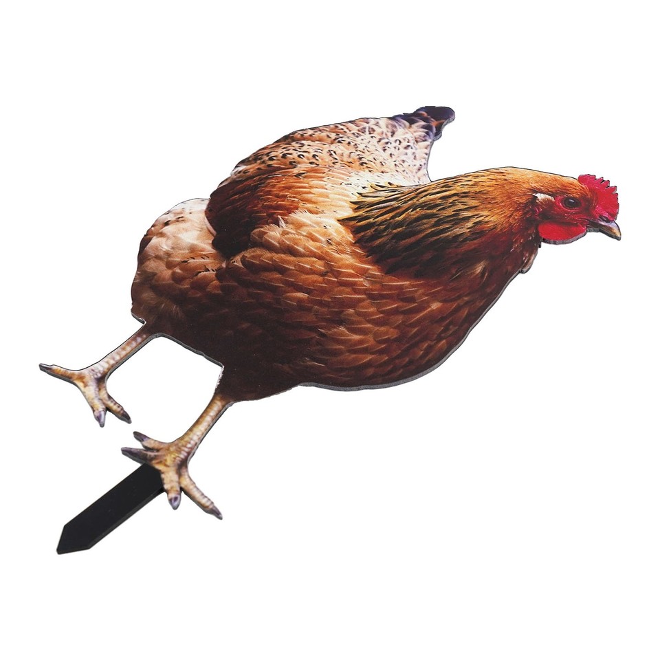 Chic Acrylic Garden Decoration Eye Catching Chicken Sign for Outdoor ...