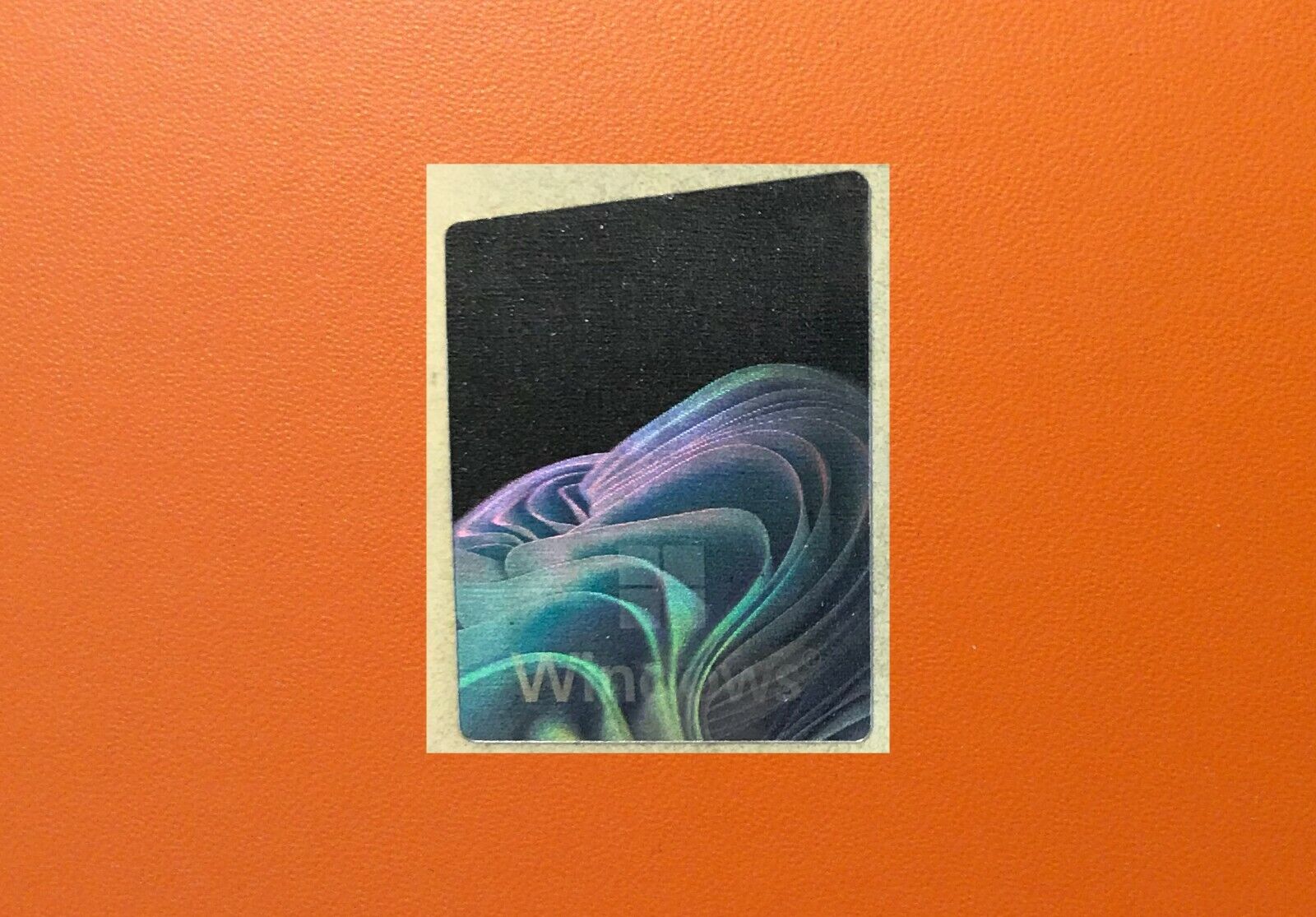 Picture 3 of 6