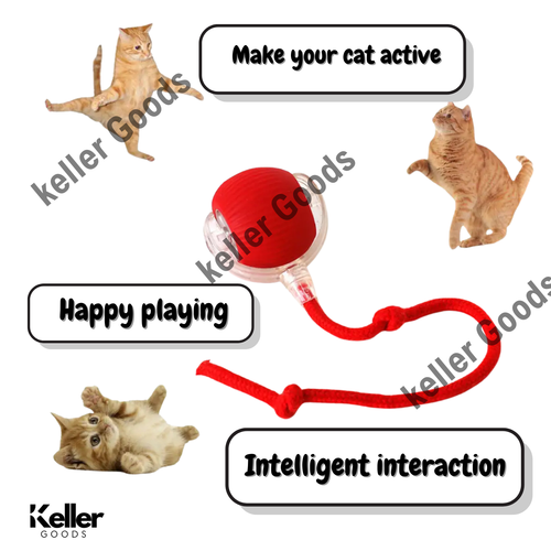 Automatic Rolling Ball Smart Cat Dog Toy Electric - Pet Self-Moving Kitten (RED) - Picture 6 of 7