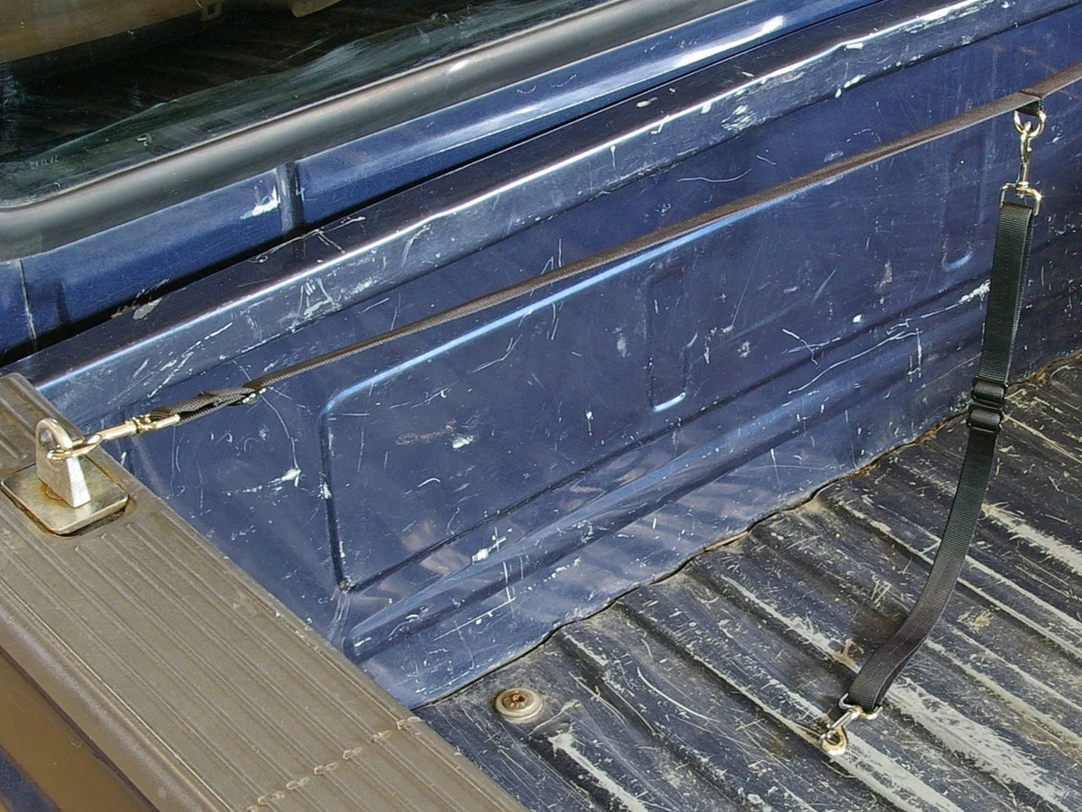 Truck bed cheap leash
