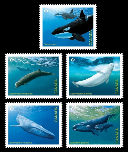 ORCA BELUGA BLUE RIGHT WHALES = Block 5 strips from UNCUT SHEET. Canada 2022 MNH - Bild 2 von 2