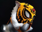 TIGER MASK WRESTLING MASK WRESTLER MASK JAPAN JAPANESE マスク プロレス 日本レスリングマスク