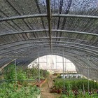 Bild 8 von 8
