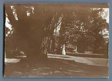 India, Coonoor (குன்னூர்) Vintage silver print.  Silver print d'epoq